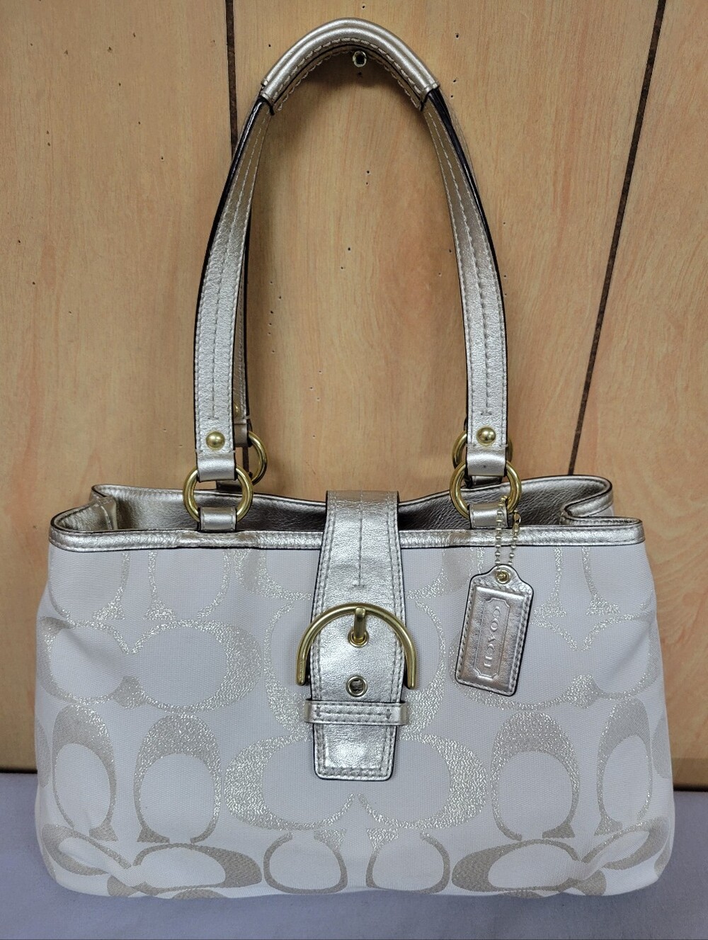 Coach Soho Signature Metallic Caryall